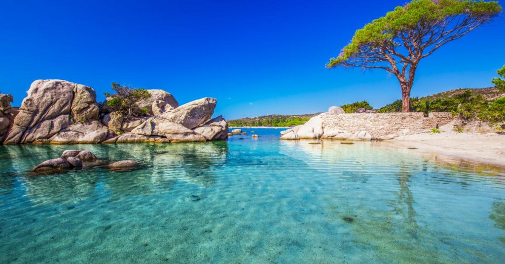 Profitez des avantages de la location d’un logement de vacances en Corse du Sud au bord de la mer